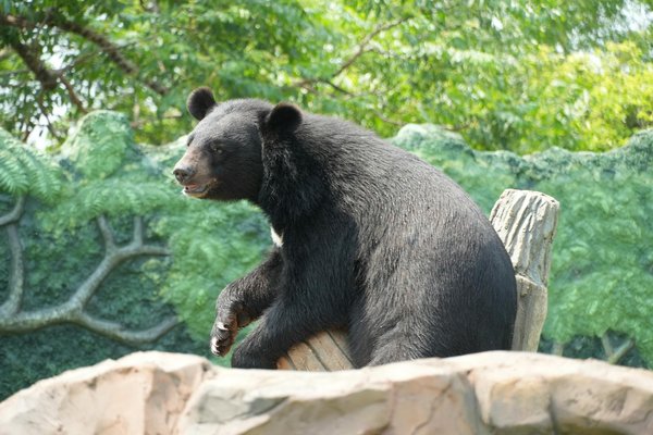 Coupe homme année 50 : à qui convient cette coiffure rétro ?