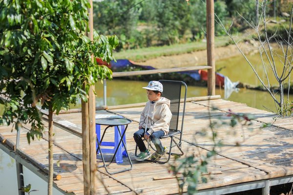 Guide pour une rénovation écologique et confortable de votre maison